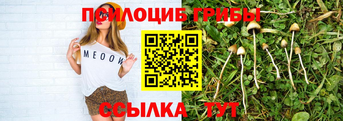 Беслан  Псилоцибиновые грибы мицелий  Вход с VPN 